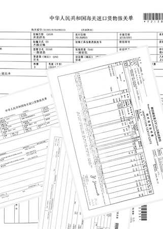 Import Customs Declaration